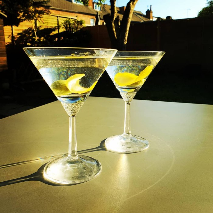 Dry Martini cocktail